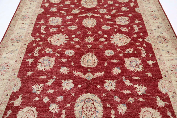 Traditional Hand Knotted Ziegler Farhan Wool Rug of Size 6'7'' X 9'8'' in Red and Ivory Colors - Made in Afghanistan