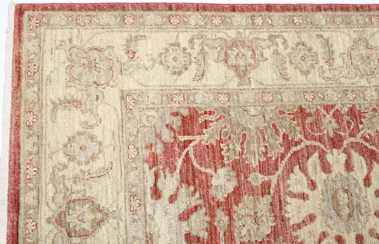 Traditional Hand Knotted Ziegler Farhan Wool Rug of Size 5'5'' X 8'0'' in Red and Ivory Colors - Made in Afghanistan